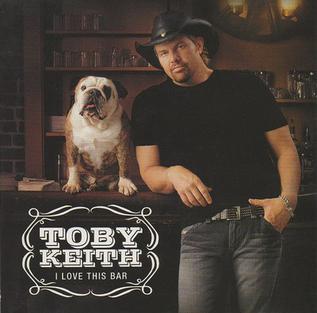 File:Toby Keith - I Love This Bar.jpg