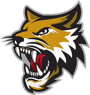 File:Vermilion County Bobcats logo.png