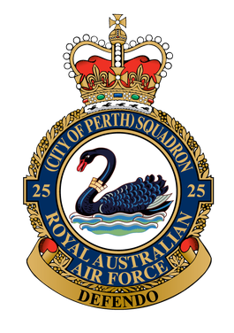 <span class="mw-page-title-main">No. 25 Squadron RAAF</span> Royal Australian Air Force squadron