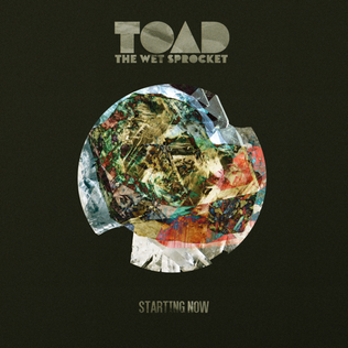 <i>Starting Now</i> (Toad the Wet Sprocket album) 2021 studio album by Toad the Wet Sprocket