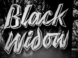 <i>The Black Widow</i> (1951 film) 1951 British film by Vernon Sewell