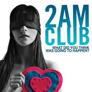 <i>What Did You Think Was Going to Happen?</i> 2010 studio album by 2AM Club