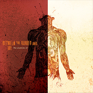 File:Between The Buried And Me - The Anatomy Of.jpg