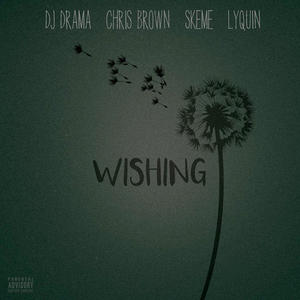 Wishing (DJ Drama song)