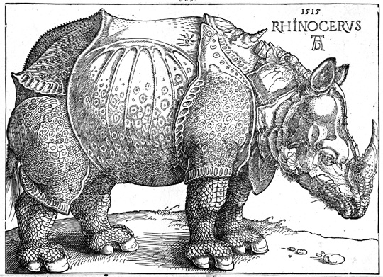 File:Durer Rhinozeros.jpg