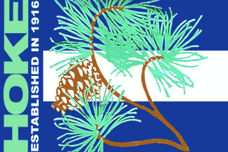 File:Hoke County Flag.gif