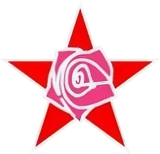 <span class="mw-page-title-main">Federation of Socialist Youth</span> Political party in Russia
