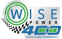 WISEPower400 logo.jpg
