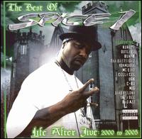 <i>Life After Jive: 2000 to 2005</i> 2006 greatest hits album by Spice 1