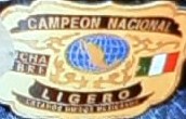 File:Mexican National Lightweight Championship.jpg