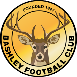 <span class="mw-page-title-main">Bashley F.C.</span> Association football club in England