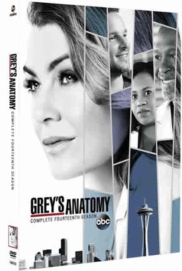 Grey's anatomy season 15 episode sales 24 free online