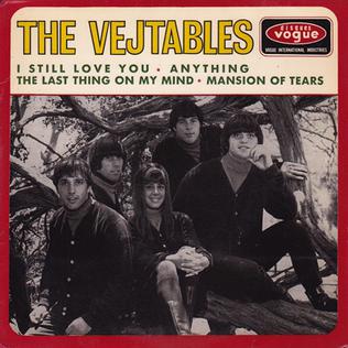 <span class="mw-page-title-main">I Still Love You (The Vejtables song)</span> 1965 single by The Vejtables