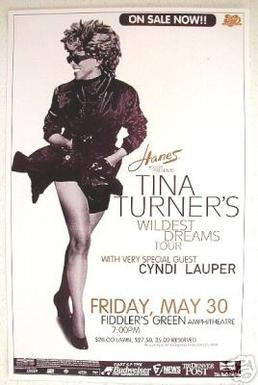 <span class="mw-page-title-main">Wildest Dreams Tour</span> 1996–97 concert tour by Tina Turner