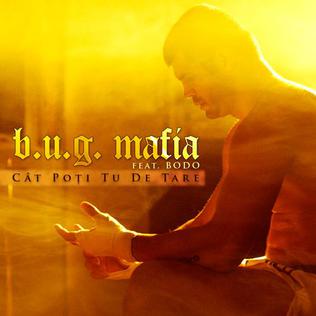 <span class="mw-page-title-main">Cât poți tu de tare</span> 2010 single by B.U.G. Mafia featuring Bodo