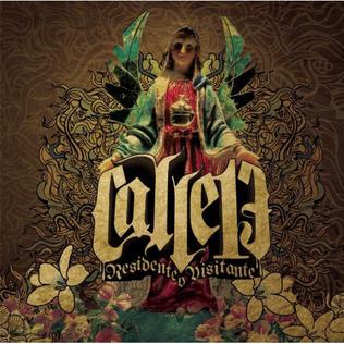 <i>Residente o Visitante</i> 2007 studio album by Calle 13