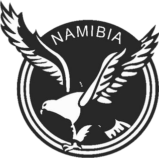 <span class="mw-page-title-main">Namibia women's national football team</span> Womens national association football team representing Namibia