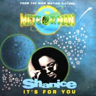 <span class="mw-page-title-main">It's for You (Shanice song)</span> 1993 single by Shanice