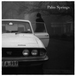 <i>No Hurt Like a Broken Heart</i> 2007 studio album by Palm Springs