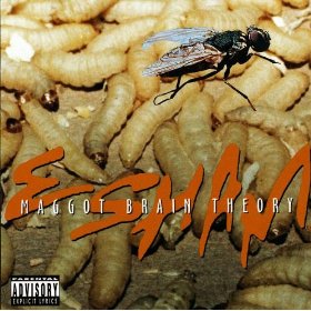 <i>Maggot Brain Theory</i> 1994 EP by Esham