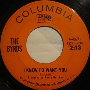 <span class="mw-page-title-main">I Knew I'd Want You</span> 1965 single by the Byrds