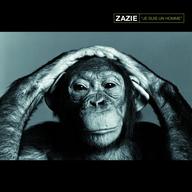 <span class="mw-page-title-main">Je suis un homme</span> 2007 single by Zazie