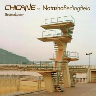 <span class="mw-page-title-main">Bruised Water</span> 2008 single by Chicane featuring Natasha Bedingfield