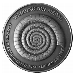 File:Waddington medal.jpg