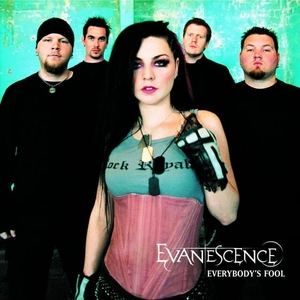 <span class="mw-page-title-main">Everybody's Fool</span> 2004 song by Evanescence
