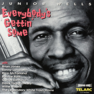 <i>Everybodys Gettin Some</i> 1995 studio album by Junior Wells