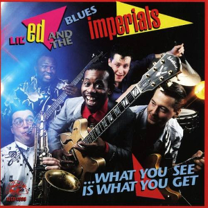 <i>What You See Is What You Get</i> (Lil Ed Williams album) 1992 studio album by Lil Ed Williams