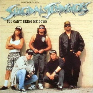 <span class="mw-page-title-main">You Can't Bring Me Down</span> 1990 single by Suicidal Tendencies