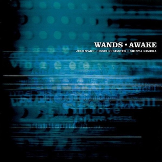 <i>Awake</i> (Wands album) 1999 studio album by Wands