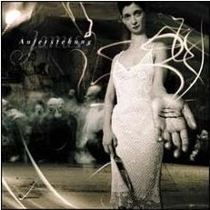 <i>Auferstehung</i> 2004 studio album by Janus