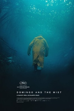 <i>Domingo and the Mist</i> 2022 Costa Rican film