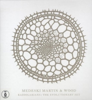 <i>The Radiolarian Series</i> 2008 studio album by Medeski Martin & Wood