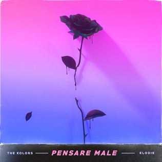 <span class="mw-page-title-main">Pensare male</span> 2019 song by The Kolors and Elodie