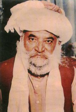 <span class="mw-page-title-main">Sher Mohammad Marri</span>