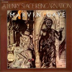 <span class="mw-page-title-main">A Funky Space Reincarnation</span> 1979 single by Marvin Gaye
