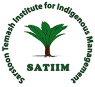 Logotipo de SATIIM