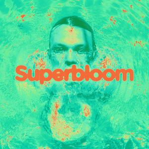 <i>Superbloom</i> (Ashton Irwin album) 2020 studio album by Ashton Irwin