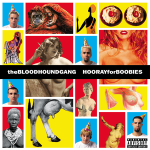 <i>Hooray for Boobies</i> 1999 studio album by Bloodhound Gang