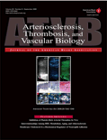 Arteriosklerose, Thrombose und Gefäßbiologie Cover.gif