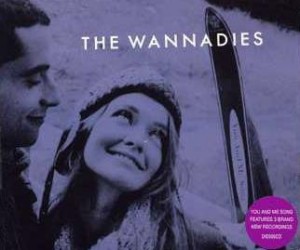 You and Me Song single by The Wannadies