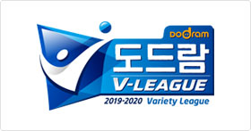 <span class="mw-page-title-main">2019–20 V-League (South Korea)</span> Sports season