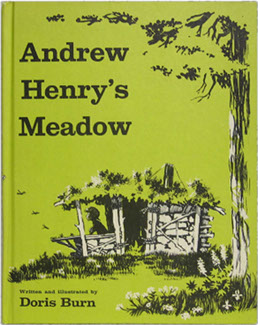 File:Andrew Henry's Meadow 1st Edition cover.jpg