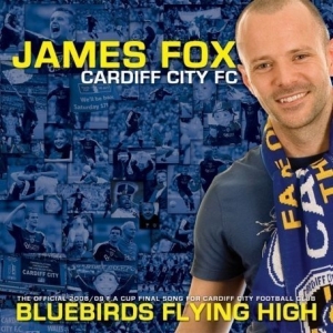 Bluebirds Flying High