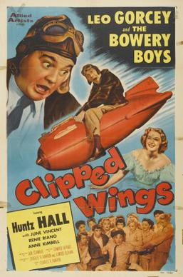 File:Clipped Wings FilmPoster.jpeg