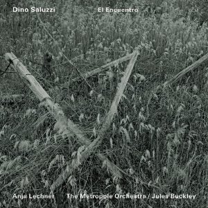 <i>El Encuentro</i> (Dino Saluzzi album) 2009 live album by Dino Saluzzi