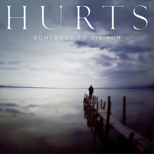 Somebody to Die For 2013 single by Hurts